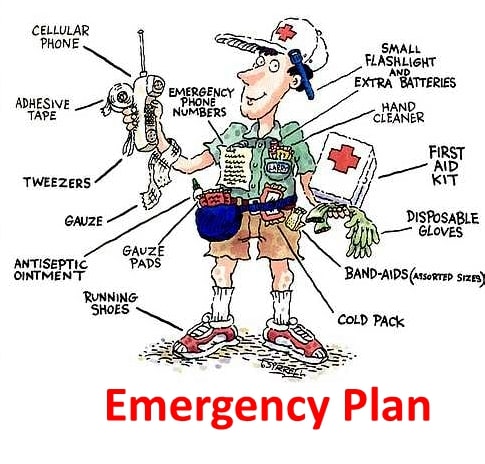 Emergency_plangroup_compressed.jpg